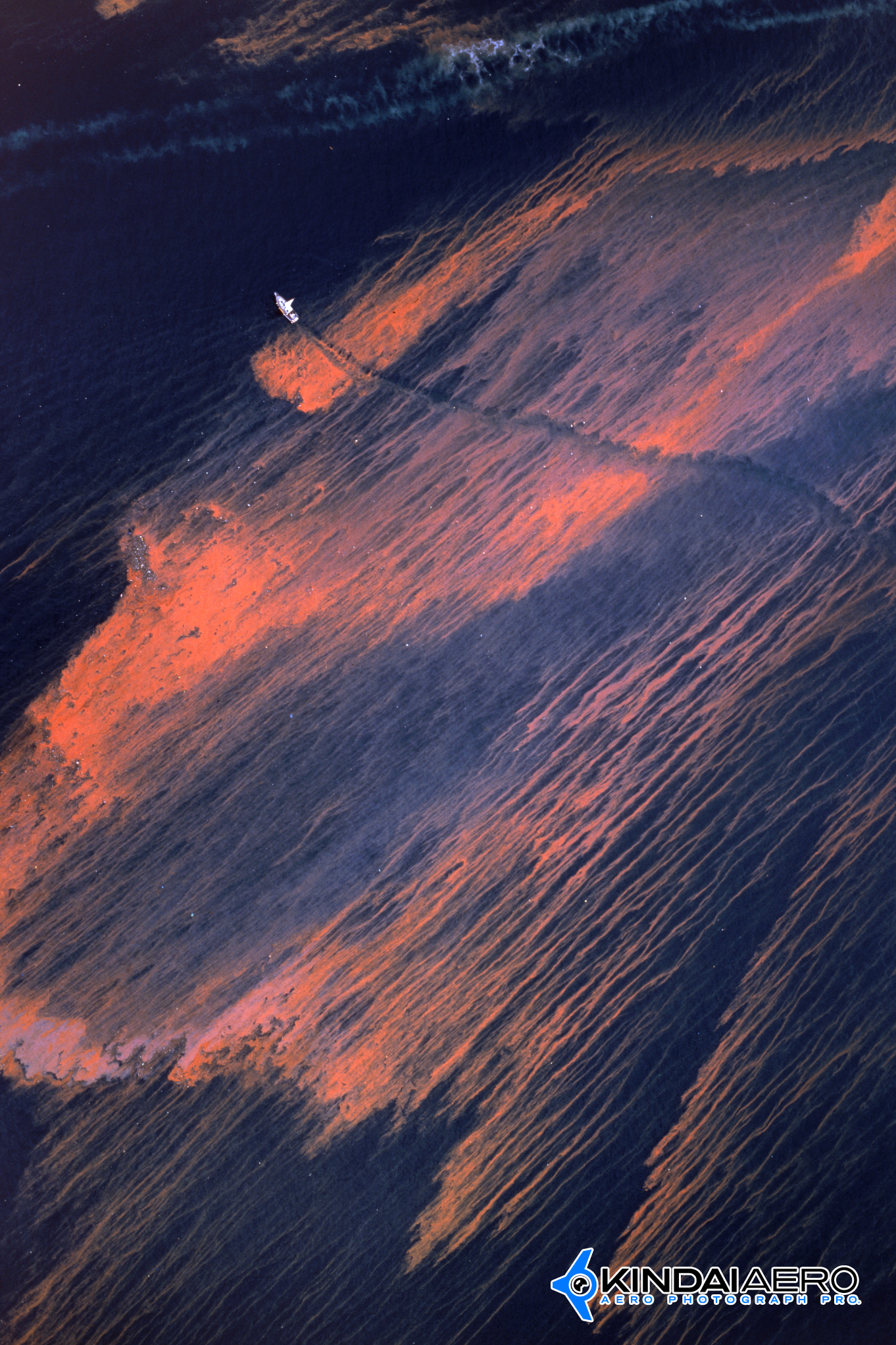 東京湾 赤潮の様子を航空写真撮影 2016-07-28