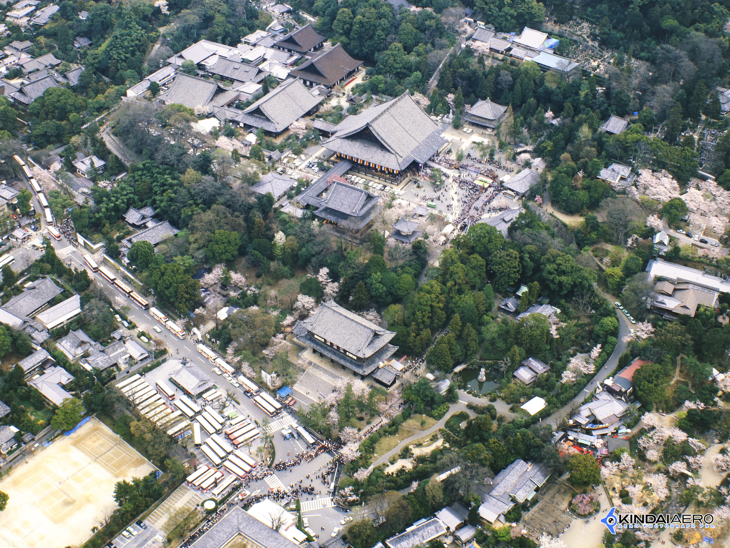 京都府京都市・桜の時期の知恩院　航空写真撮影 1987-04