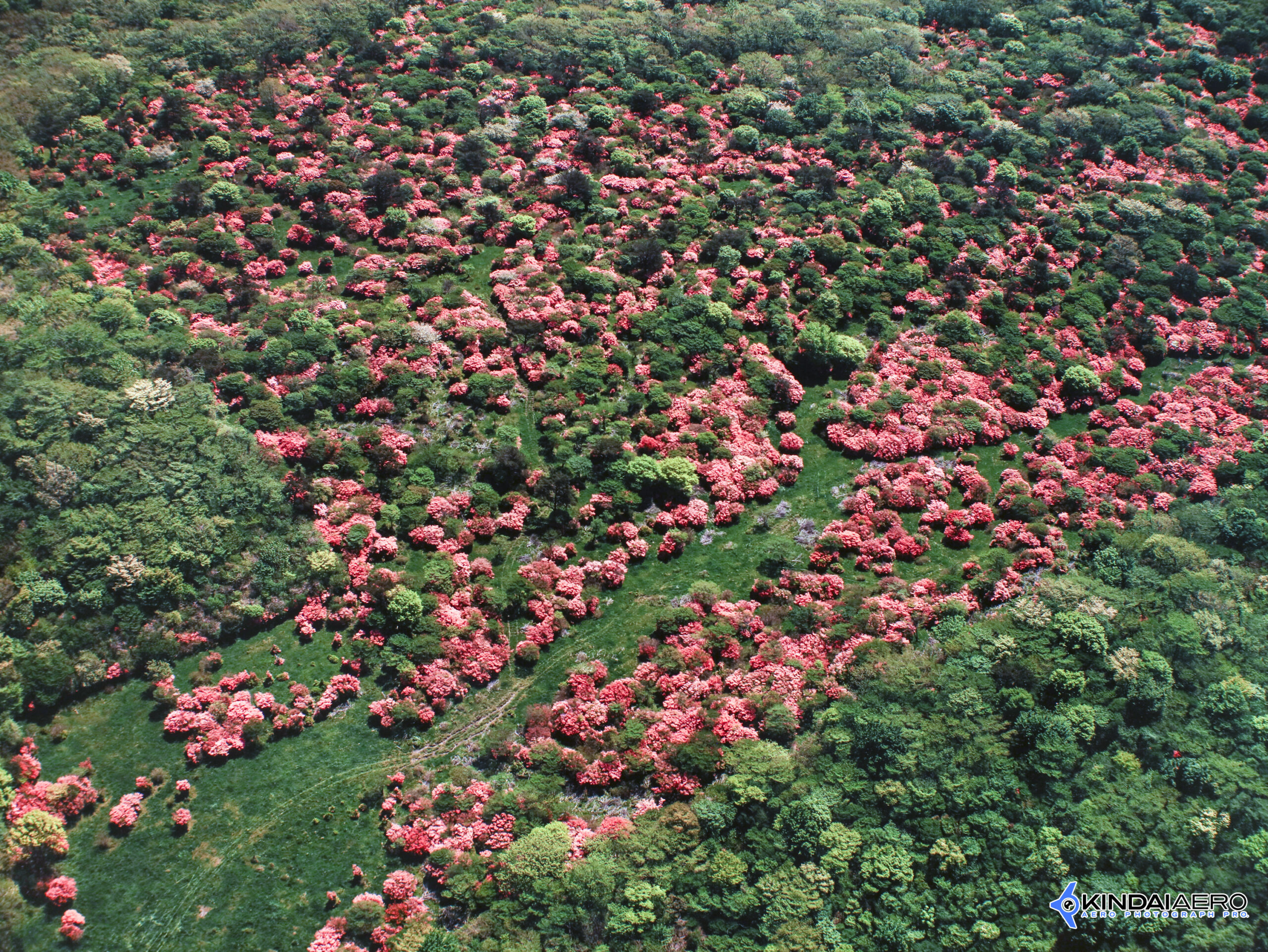 栃木県那須郡・那須高原-八幡ツツジ群落の航空写真撮影 1987-04
