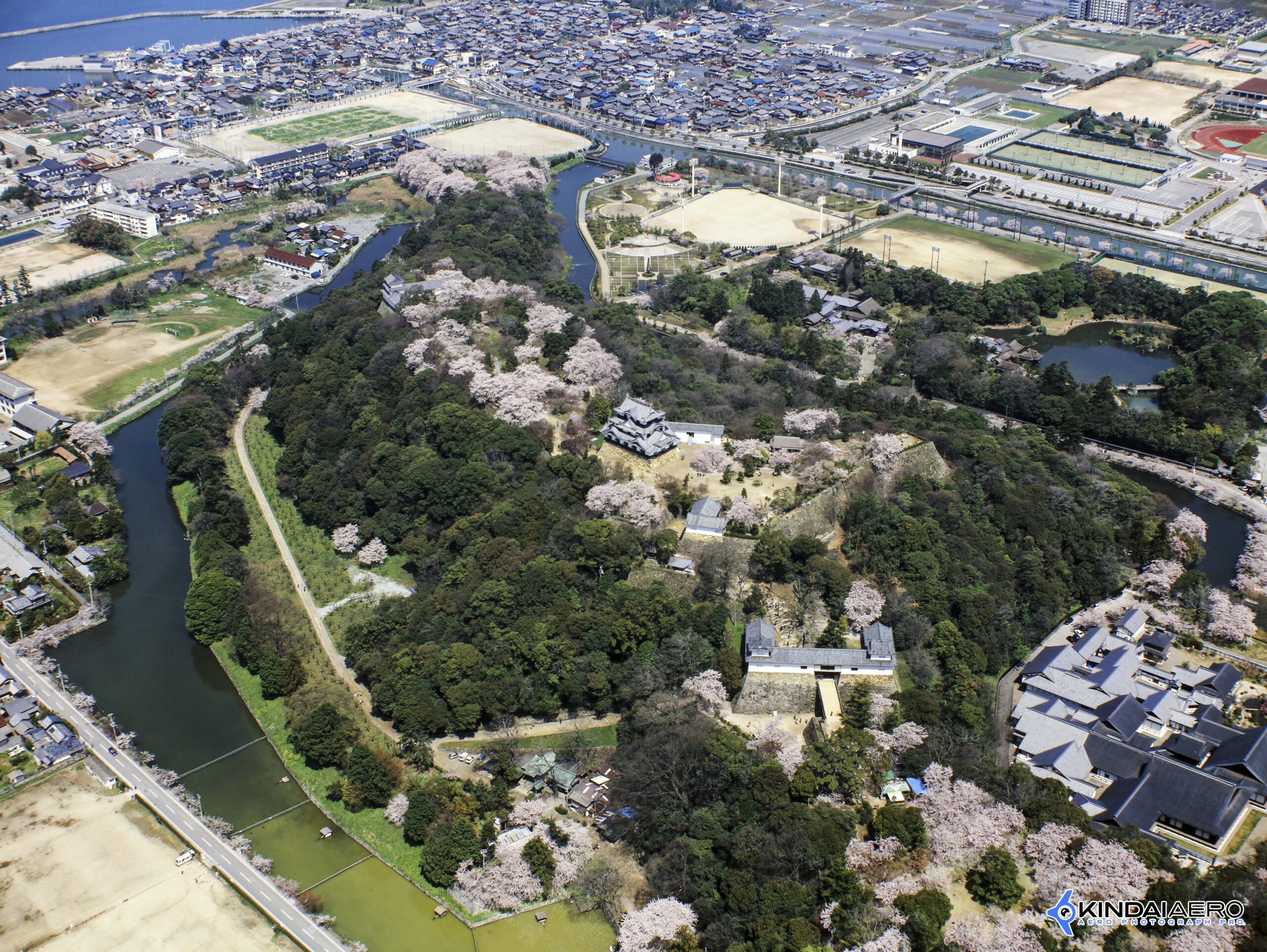 滋賀県彦根市・彦根城(桜の時期)　航空写真撮影 1998-04
